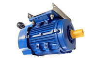 Figure MY712-2 Single Phase Capacitor Run Motor 0.75HP 230v 50Hz For Crushers