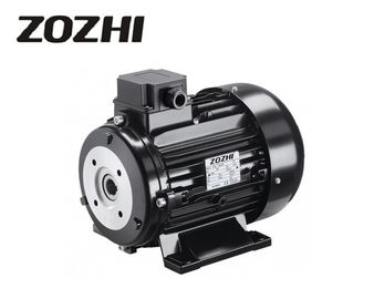 3KW 4HP 1450 RPM Three Phase Induction Motor Hollow Shaft 4 Pole ZOZHI Hs100L2-4