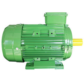 Three / Single Phase High Efficiency Induction Motor Aluminum Shell Ie2 Standard