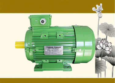 Asynchronous Electric Pump Motor , Three Phase Induction Motor IEC1 IEC2 IEC3