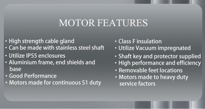 مضخة حمام السباحة بمعدل دوران 2800 دورة في الدقيقة، محرك أحادي الطور غير متزامن مع غلاف ألومنيوم مقاوم للماء وتردد 220 فولت 50 هرتز 4