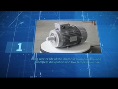 MS100L-2 IE3 4HP / 3KW