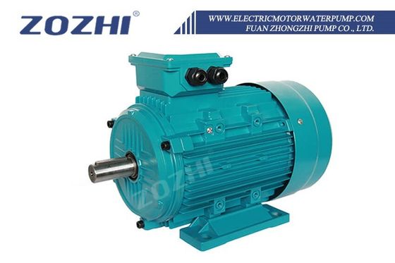 Three-Phase Induction Pump Motor 0.75KW 220/380V 1390 RPM Waterproof Flange Mount IE2 ZOZHI 