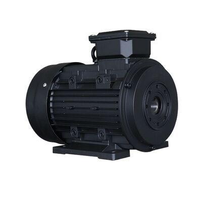 Rated Speed 1450rpm hollow shaft electric motor offering class F insulation optimized for conveyor systems and robotics