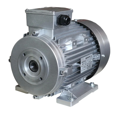 35 كيلوغرام IP55 محرك التيار المتردد ذات العمود الأفقي قطر 24 مم المصنعة من قبل ZOZHI Motor