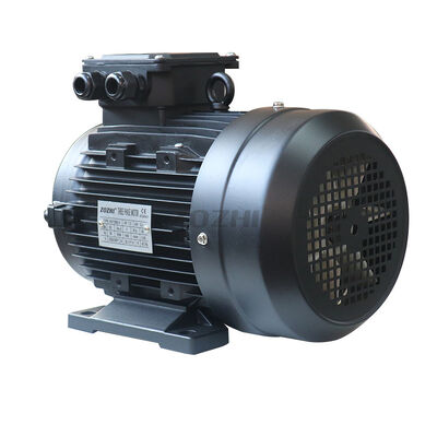 Ambient temperature minus 20 to plus 40 degrees Celsius hollow shaft electric motor rated at 3000 RPM optimized for continuous