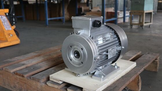 Capacitor Running Single Phase Induction Motor ICO9001 Cooling Method 18.5 Current Ideal Choice for Industrial Machinery