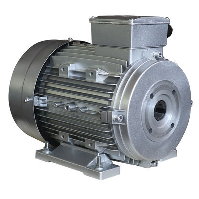 Three Phase hollow shaft AC motor providing life span at least 3000 hours engineered for industrial equipment performance